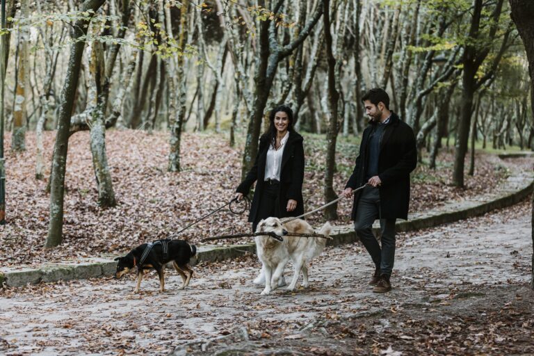 Sessão Namoro; Casal Feliz; Passeio de pet; Parque da cidade; Passeio Cão; Brincadeira Pet; Labrador; Parque; Parque cidade Porto; Porto; Casal Parque Cidade Porto