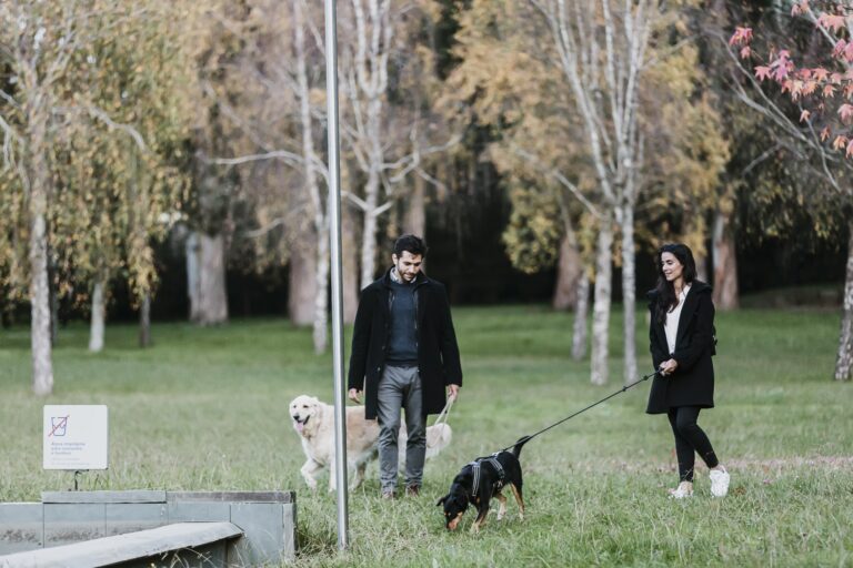 Sessão Namoro; Casal Feliz; Passeio de pet; Parque da cidade; Passeio Cão; Brincadeira Pet; Labrador; Parque; Parque cidade Porto; Porto; Casal Parque Cidade Porto