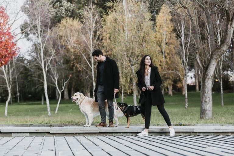 Sessão Namoro; Casal Feliz; Passeio de pet; Parque da cidade; Passeio Cão; Brincadeira Pet; Labrador; Parque; Parque cidade Porto; Porto; Casal Parque Cidade Porto